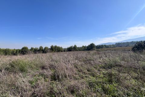 Finca i Ontinyent, Valencia, Ontinyent - € 410.000 | Ref: IL00970 - foto 5